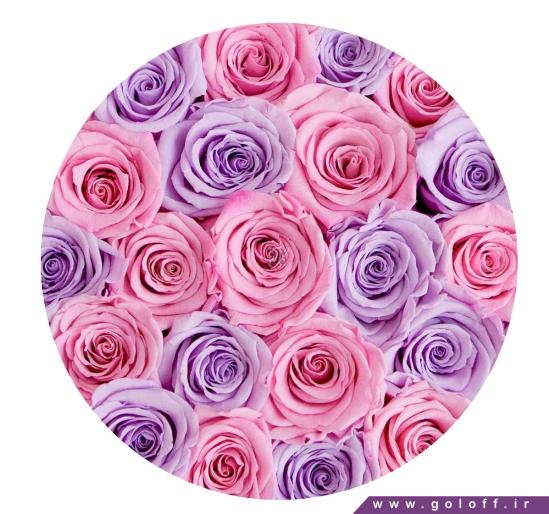 گل های جعبه ای - جعبه گل ولنتاین کریستی - Cristy | گل آف